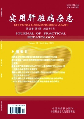 实用肝脏病杂志杂志